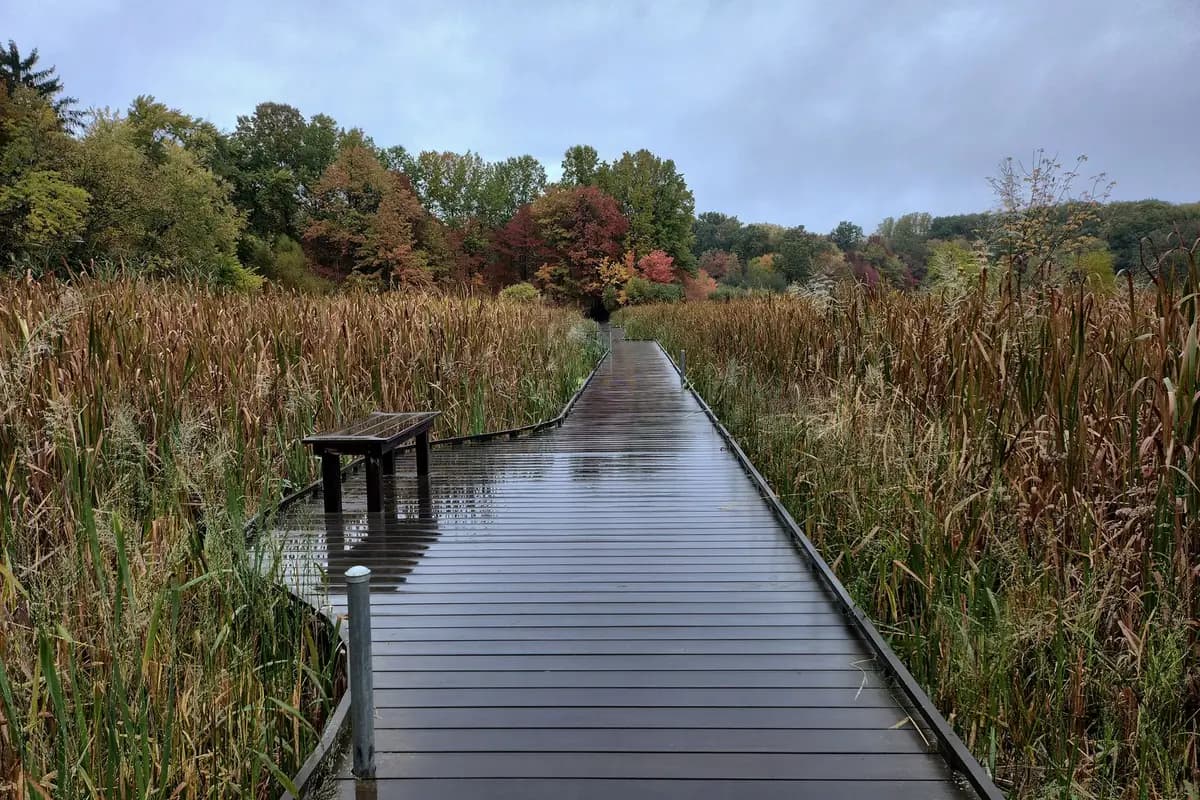 A park in Akron, Ohio