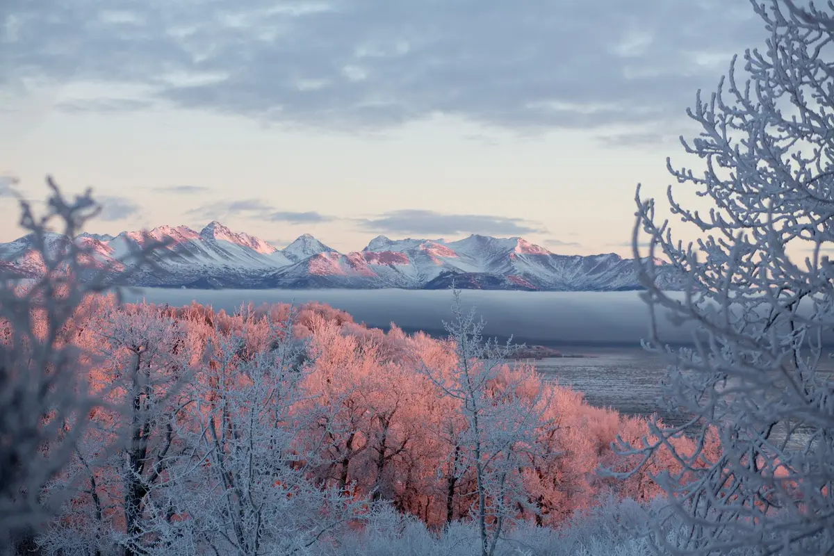 A park in Anchorage, Alaska