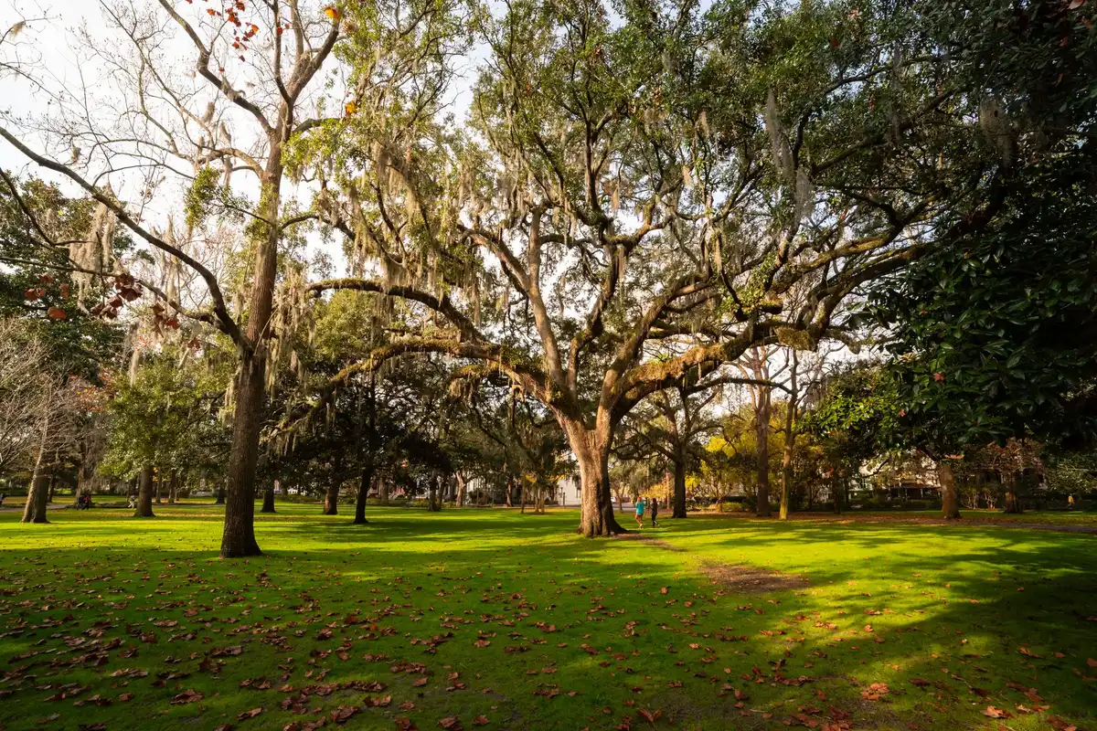 A park in Augusta, Georgia