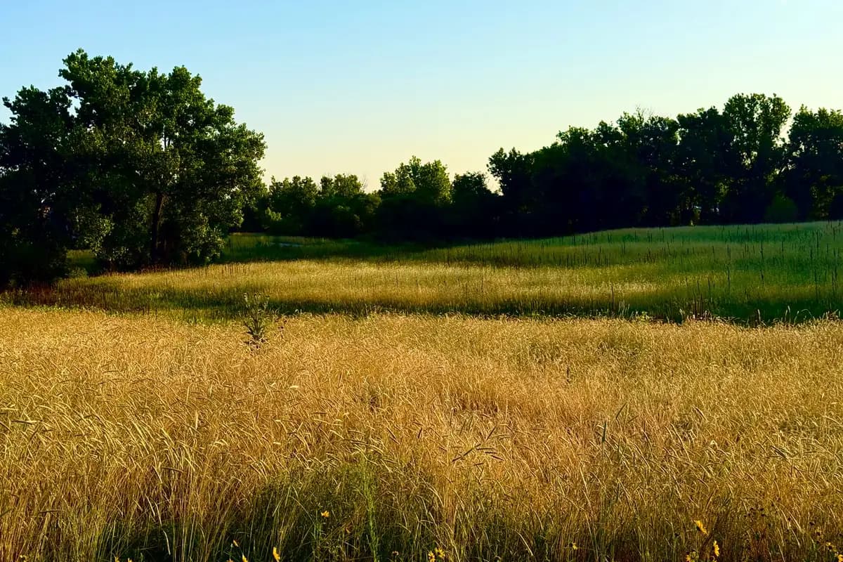 A park in Aurora, Colorado