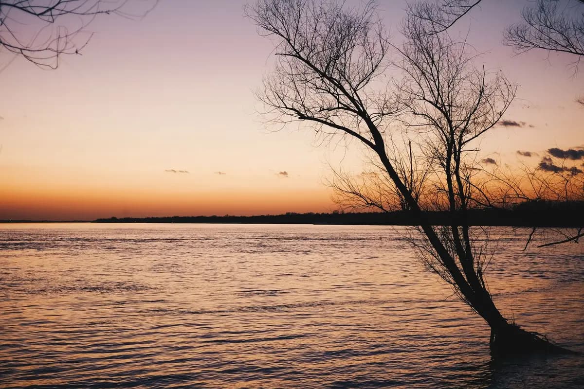 A park in Baton Rouge, Louisiana