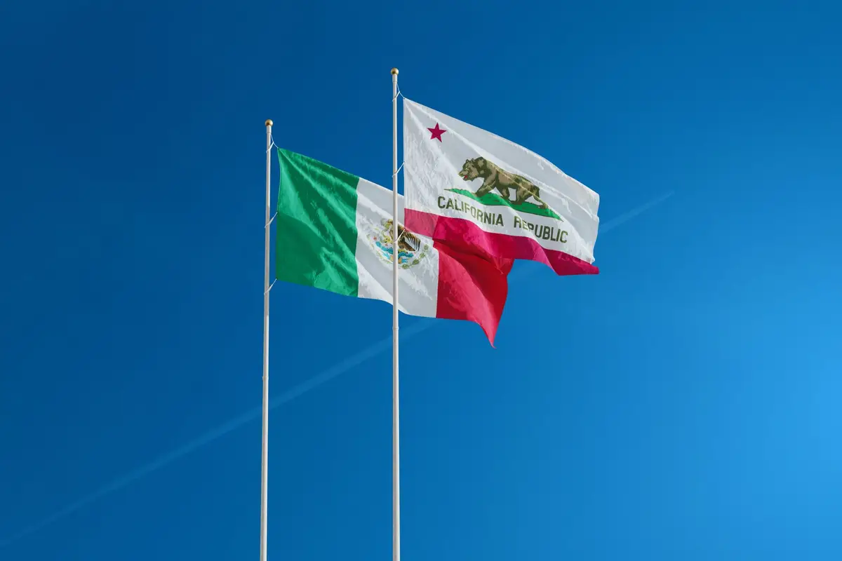 The California state flag