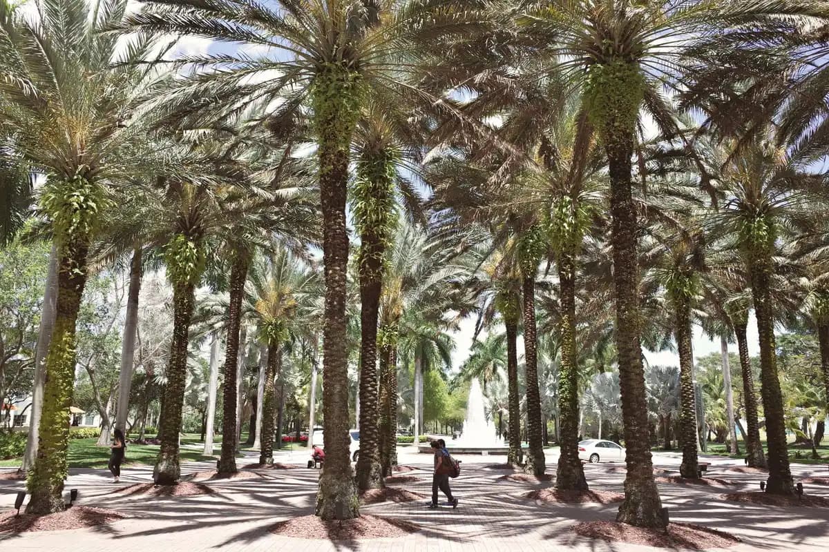 A park in Cape Coral, Florida