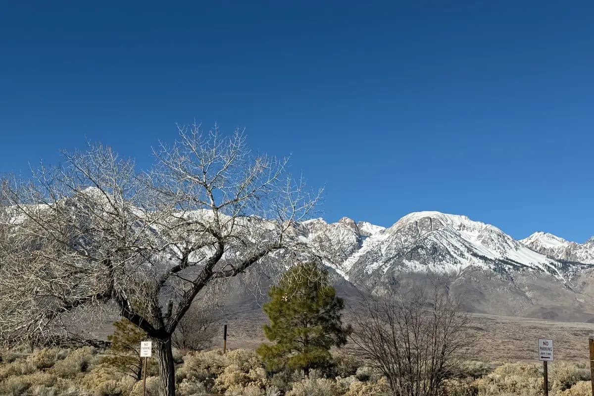 A park in Carson City, Nevada