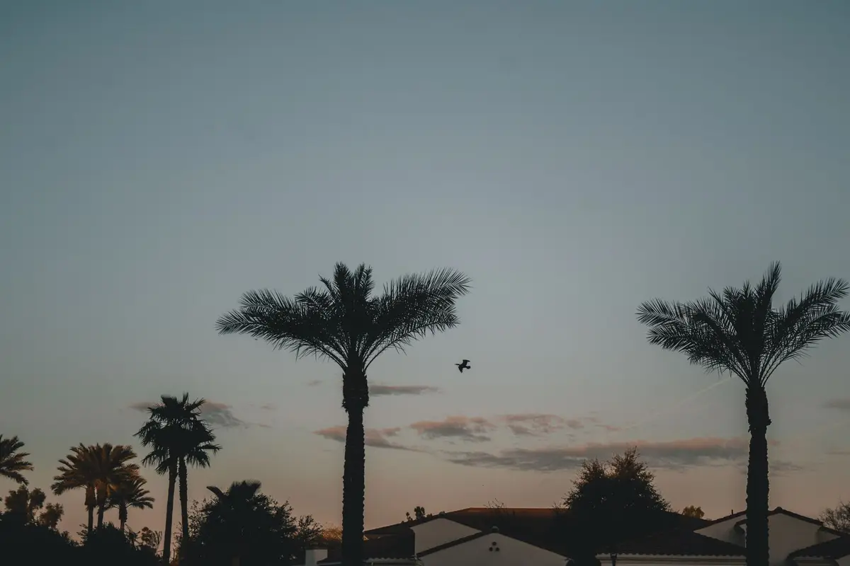 Downtown Chandler, Arizona skyline