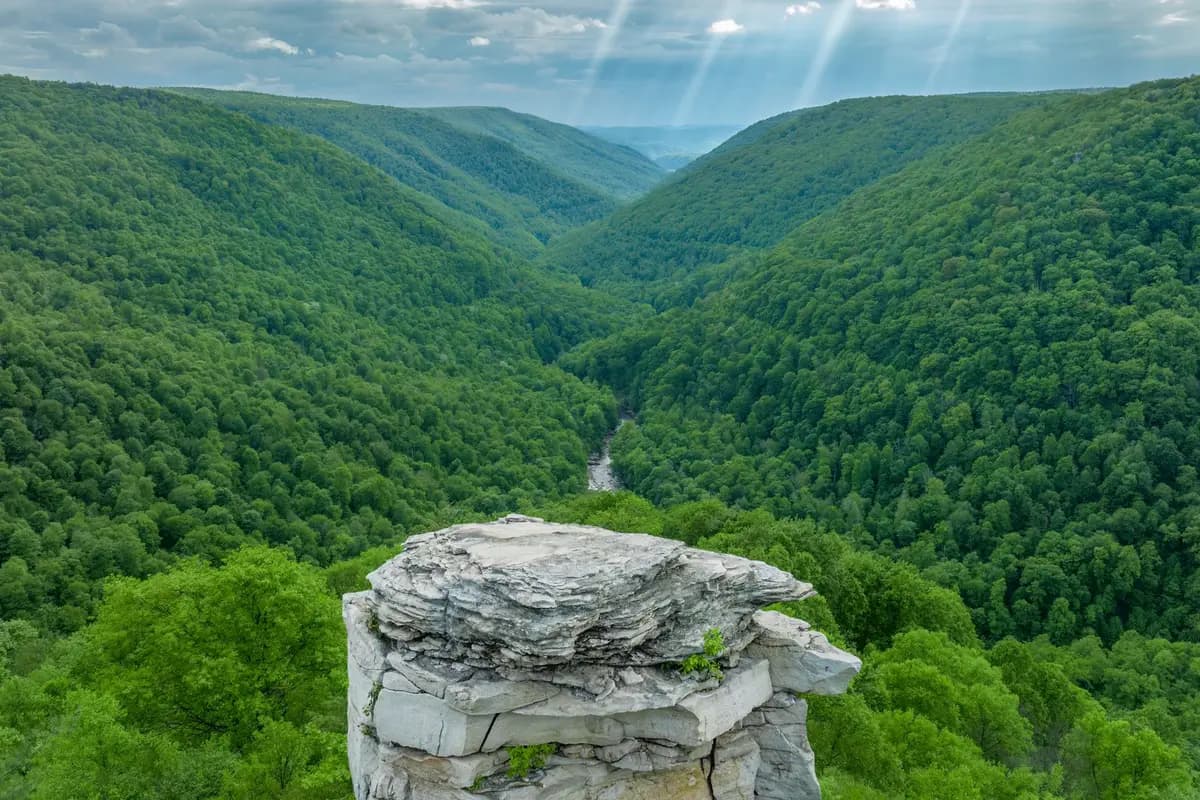 A park in Charleston, West Virginia