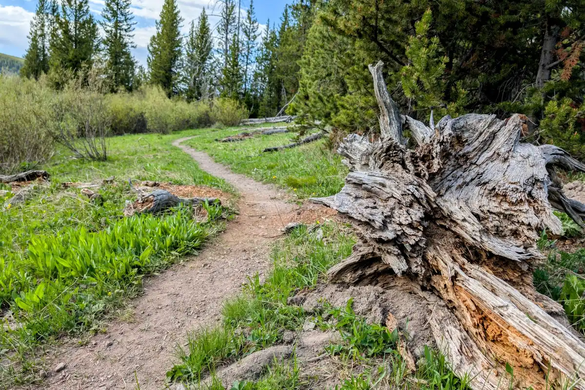 A park in Cheyenne, Wyoming