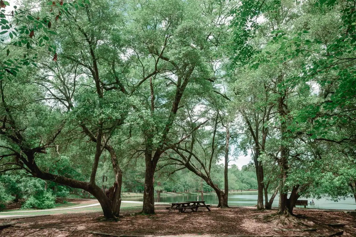 A park in Columbia, South Carolina
