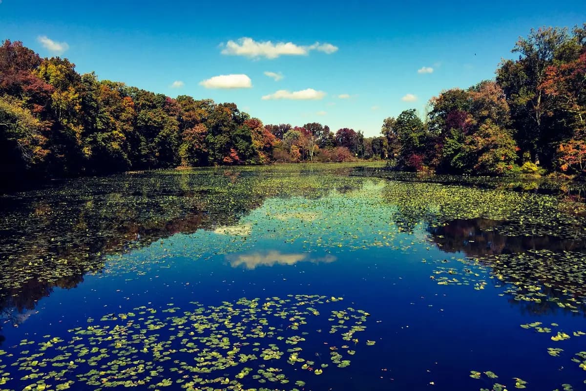 A wide Delaware landscape