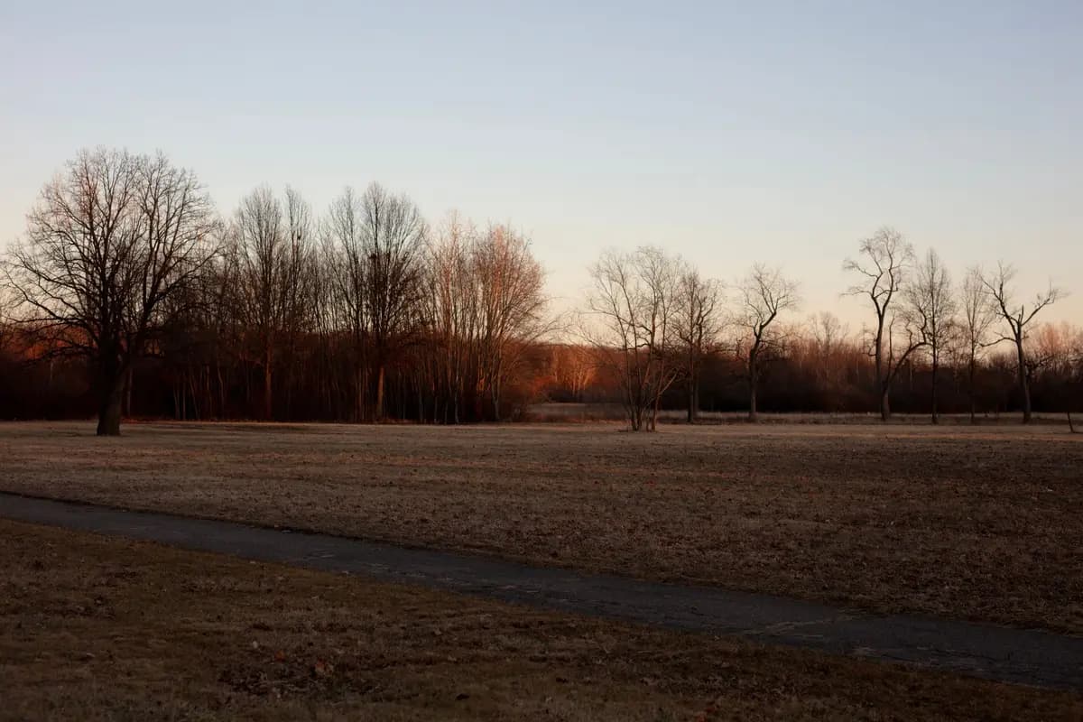 A park in Detroit, Michigan
