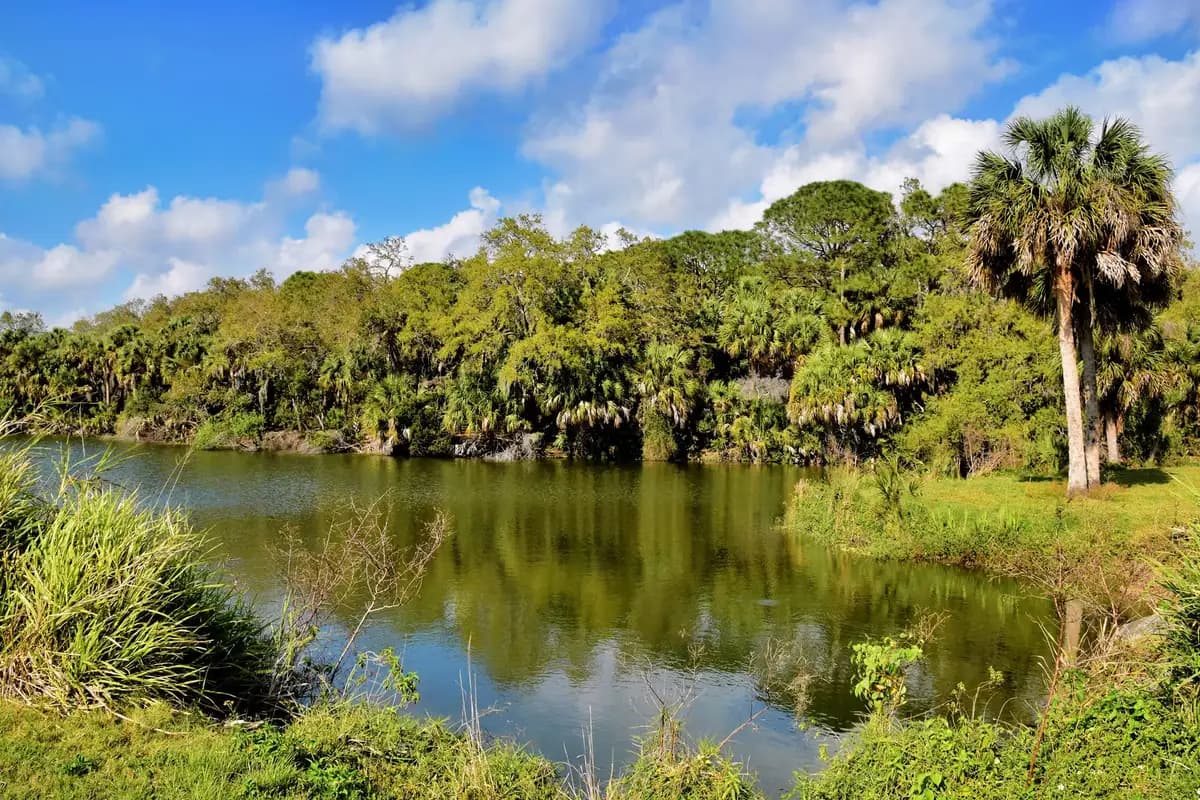 A wide Florida landscape