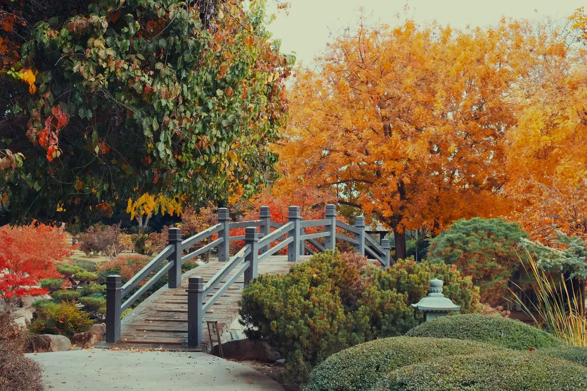 A park in Fresno, California