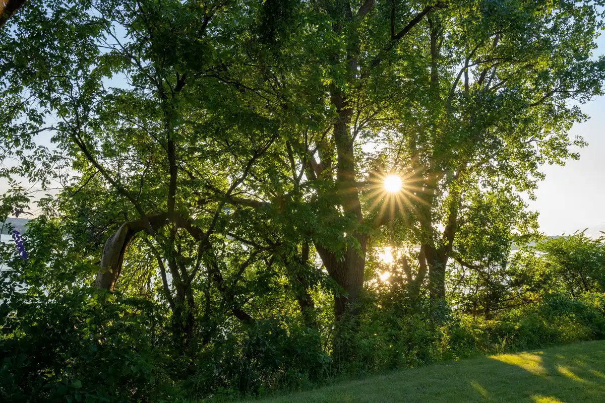 A park in Green Bay, Wisconsin