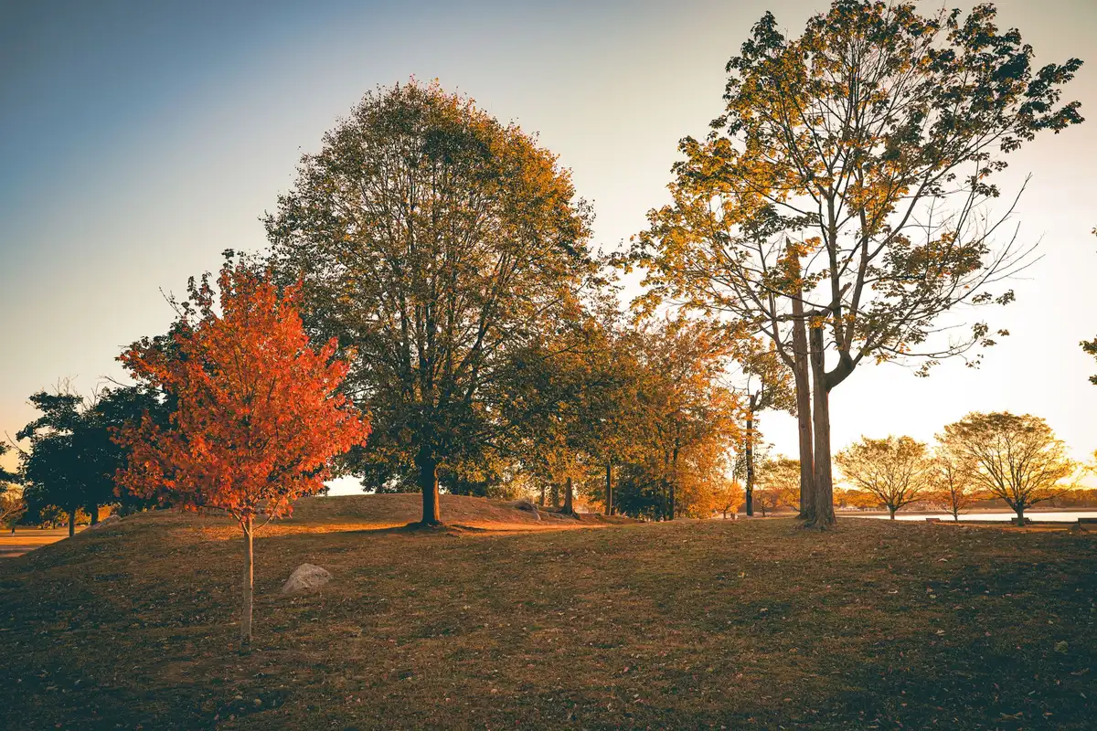 A park in Hartford, Connecticut