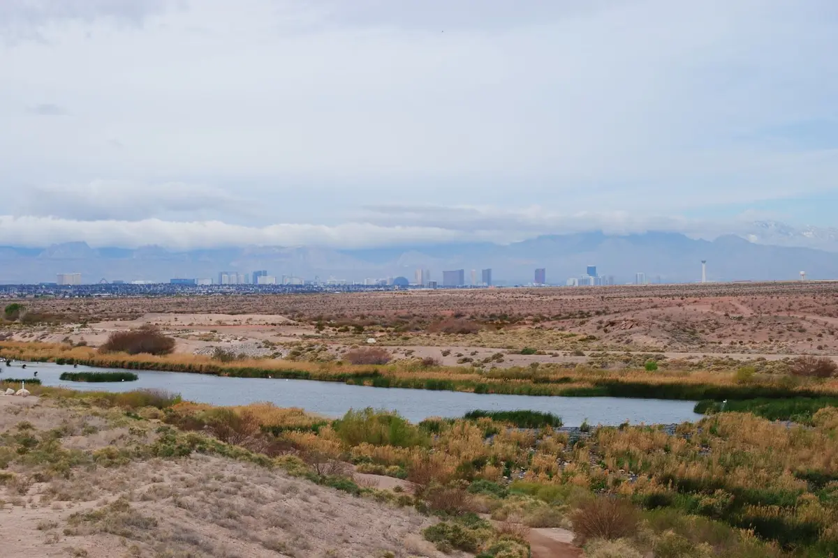 Downtown Henderson, Nevada skyline