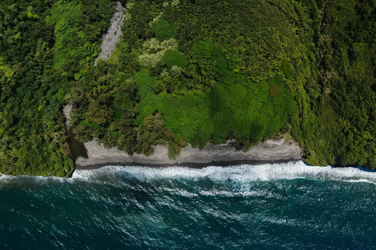 Aerial view of Hilo, Hawaii