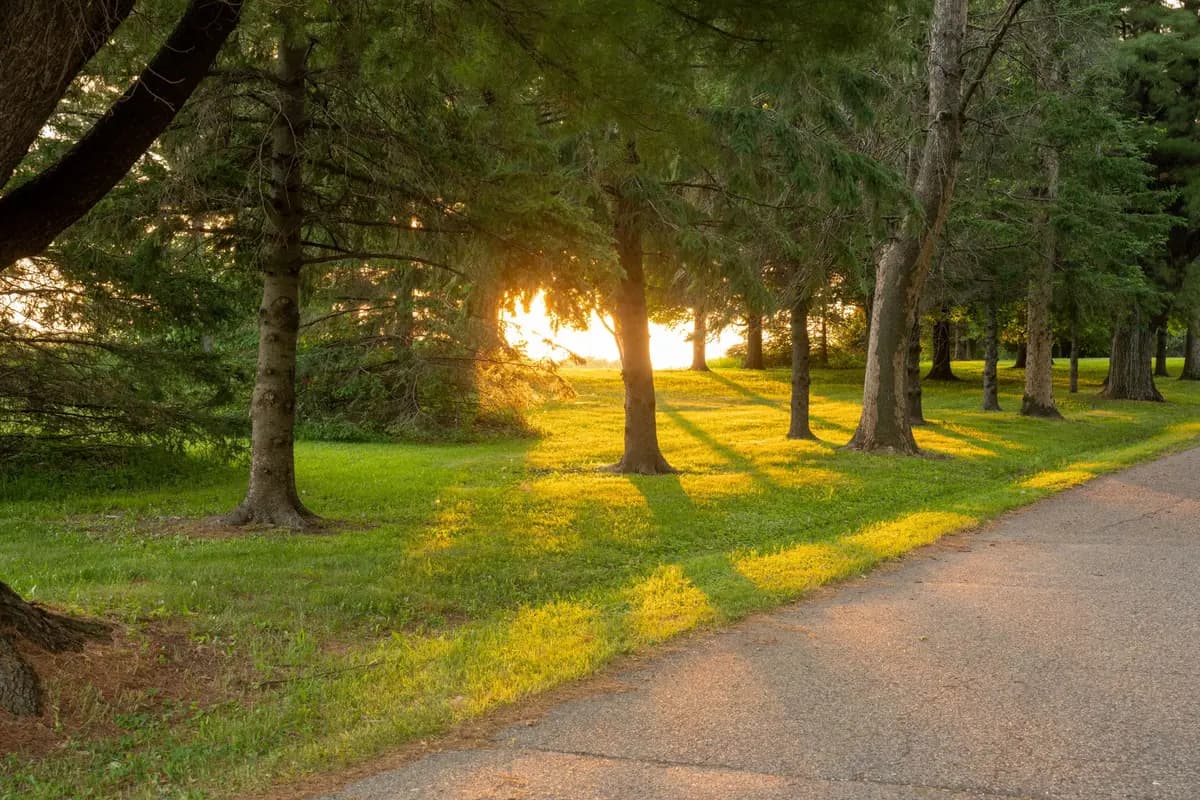 A park in Kenosha, Wisconsin