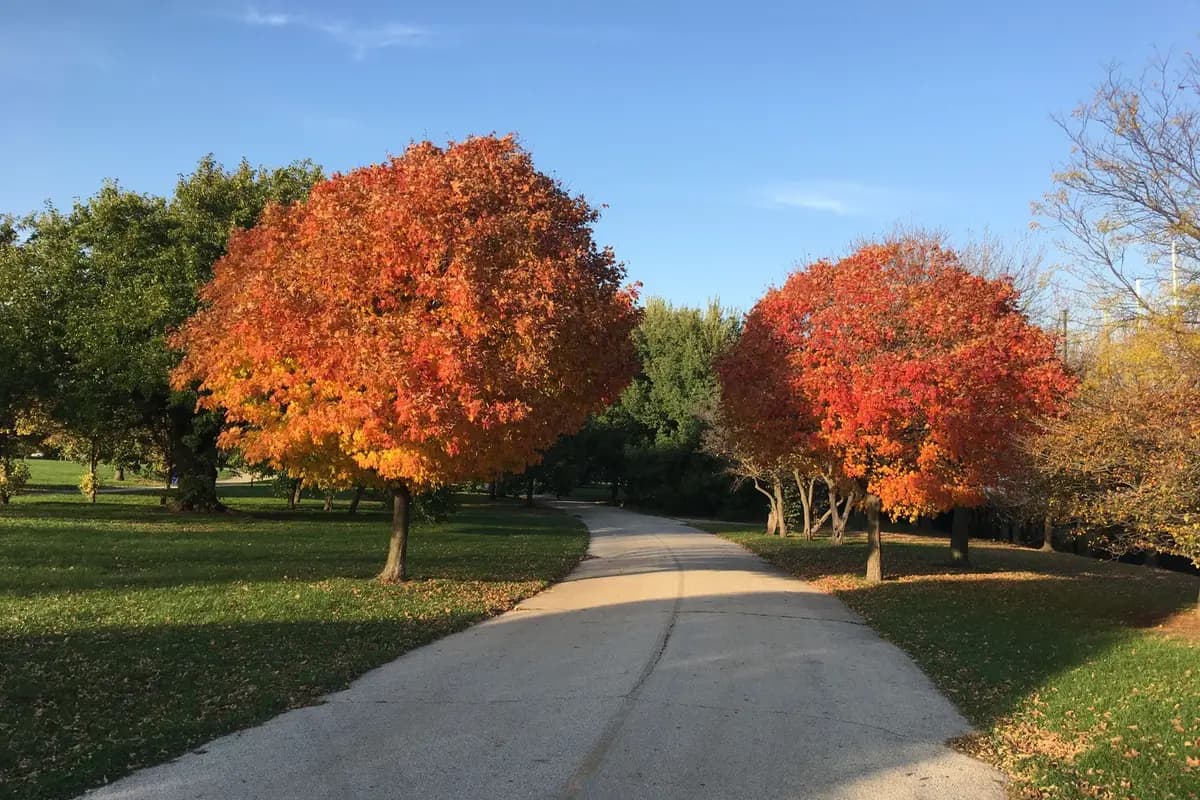 A park in Lincoln, Nebraska