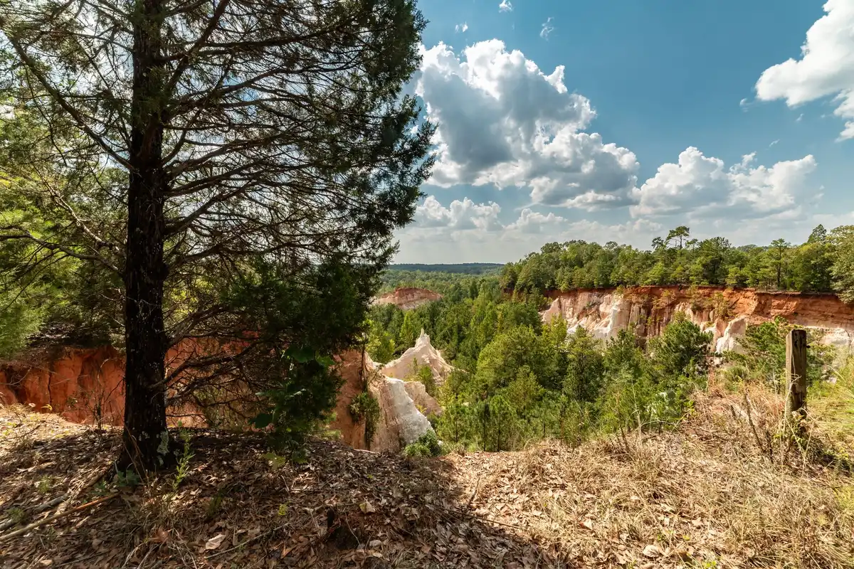A park in Macon, Georgia