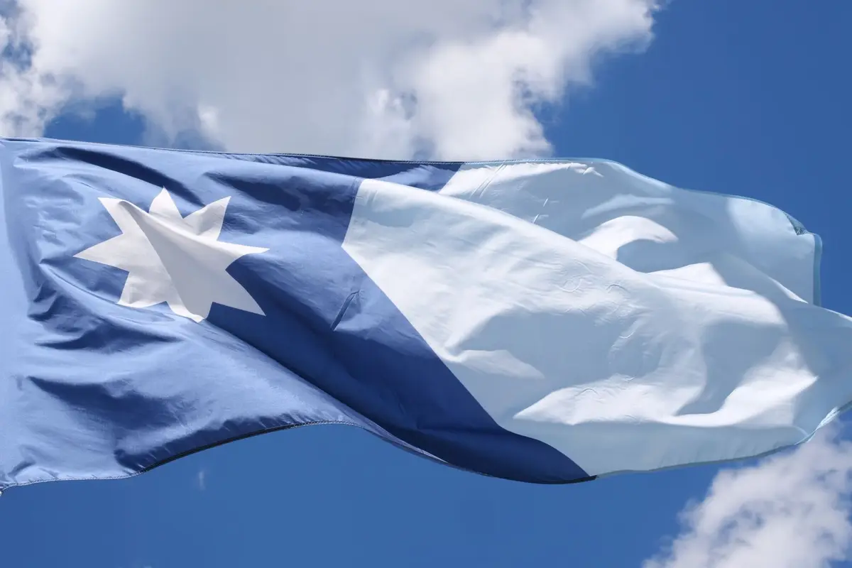 The Minnesota state flag