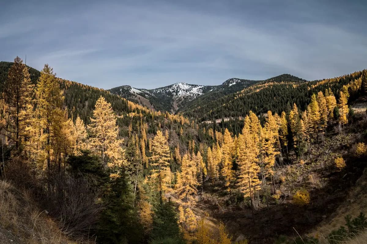 A park in Missoula, Montana