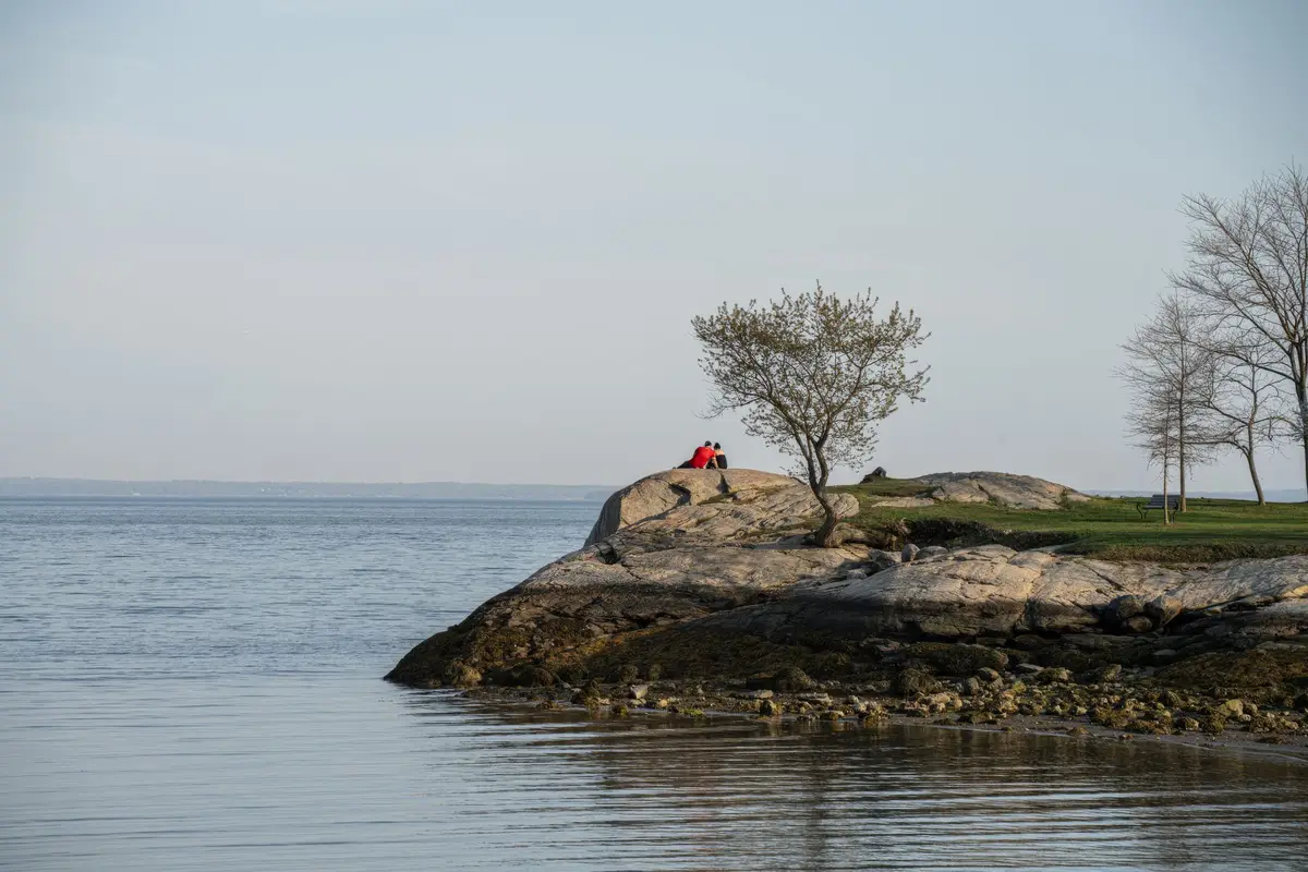 A park in New Haven, Connecticut