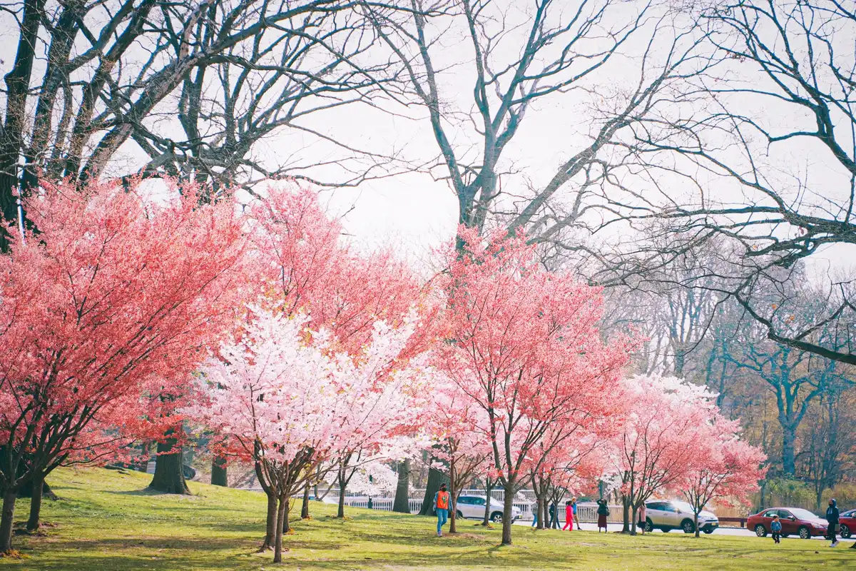 A park in Newark, New Jersey