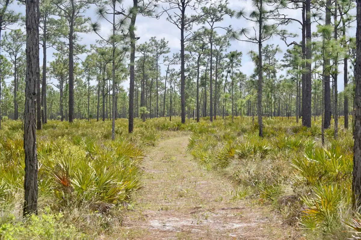 A park in Pembroke Pines, Florida