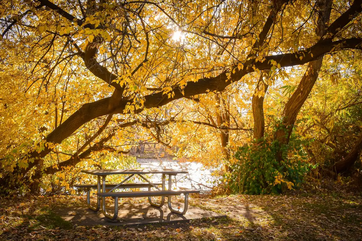 A park in Pocatello, Idaho
