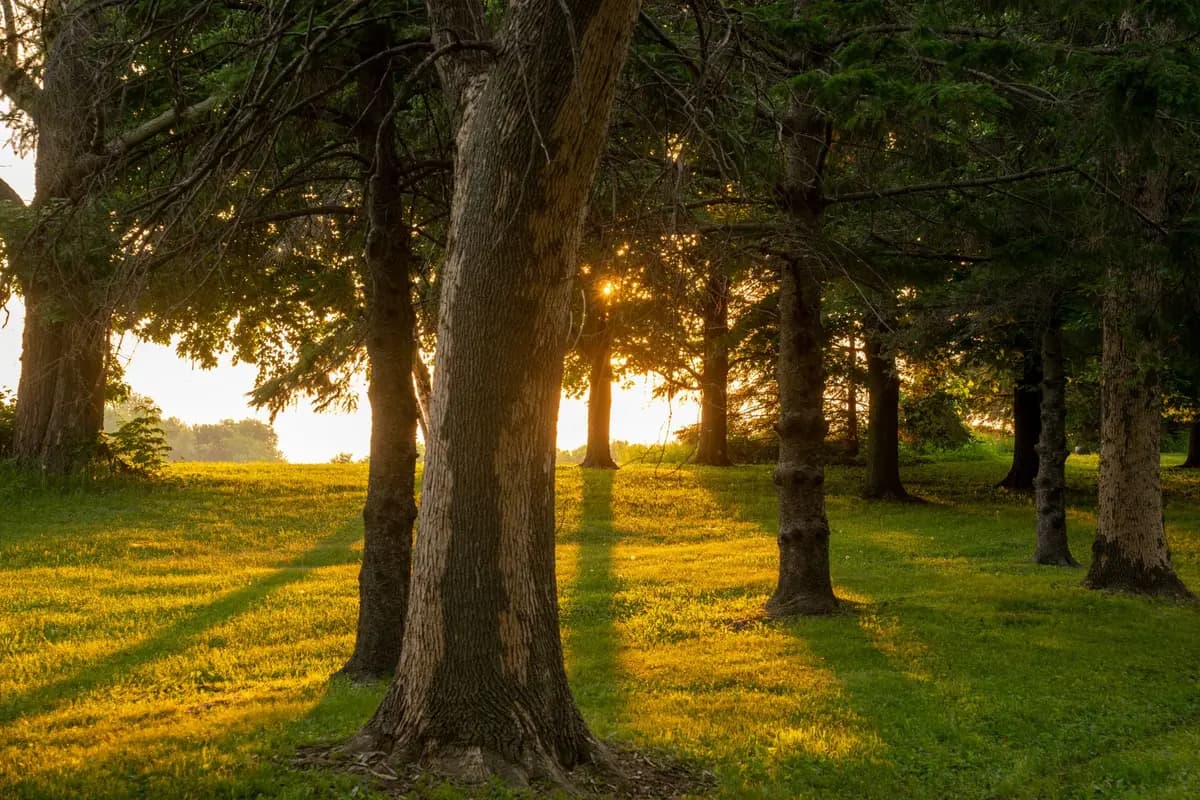 A park in Racine, Wisconsin