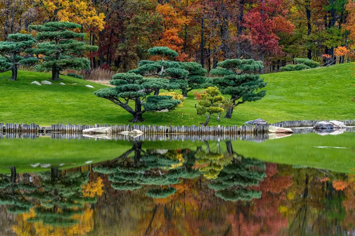 A park in Rockford, Illinois