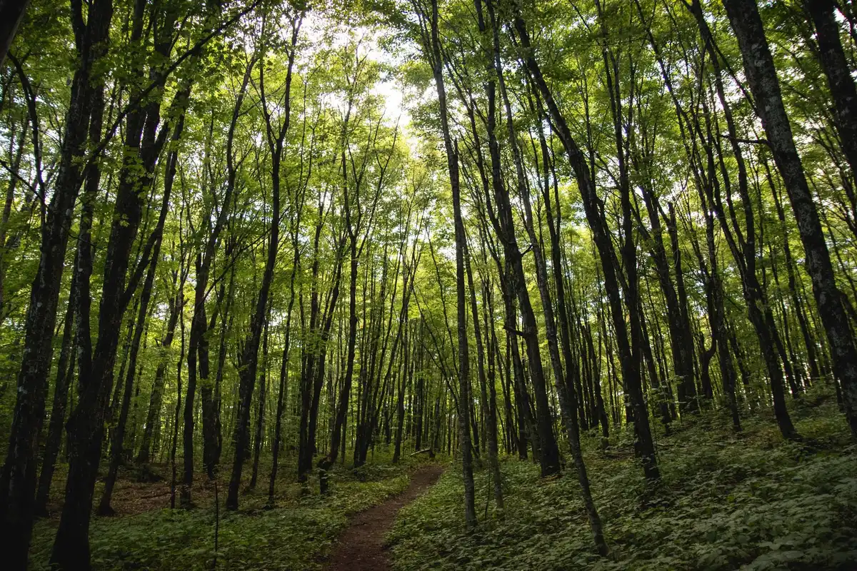 A park in Rutland, Vermont