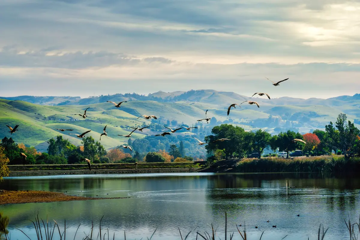 A park in San Jose, California
