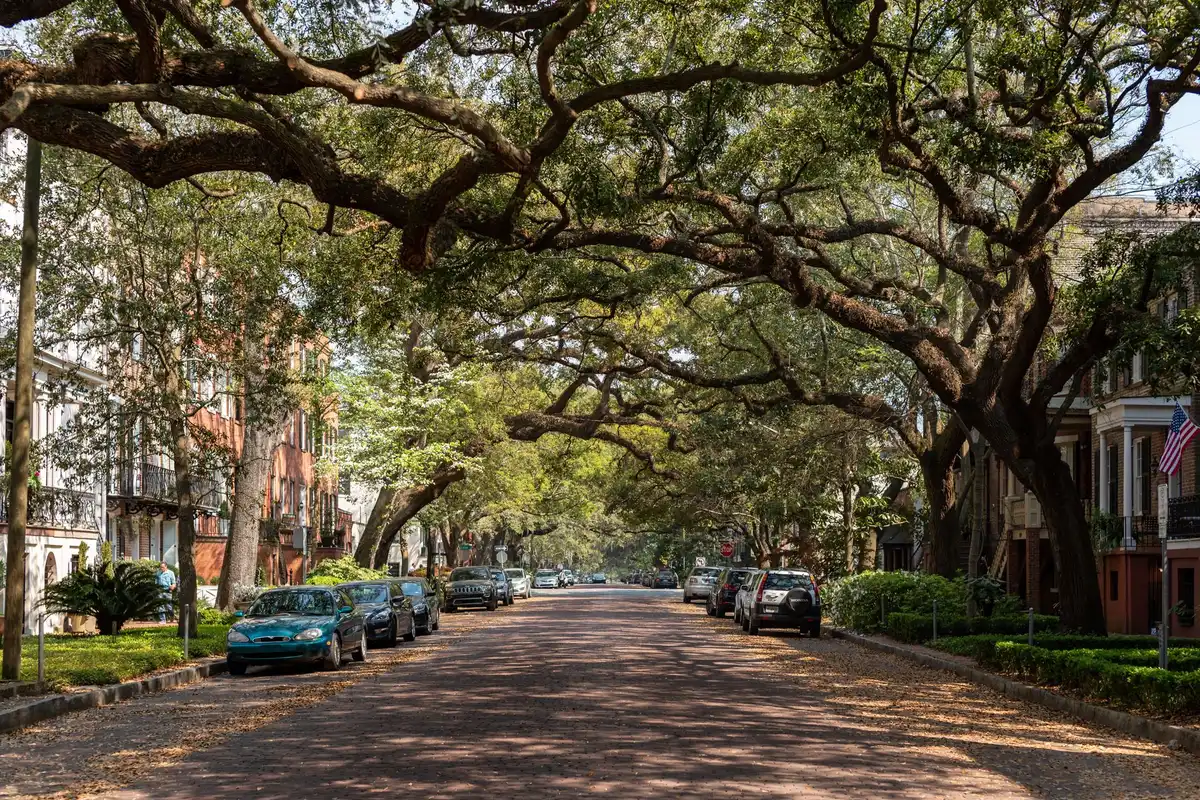 Downtown Savannah, Georgia street scene