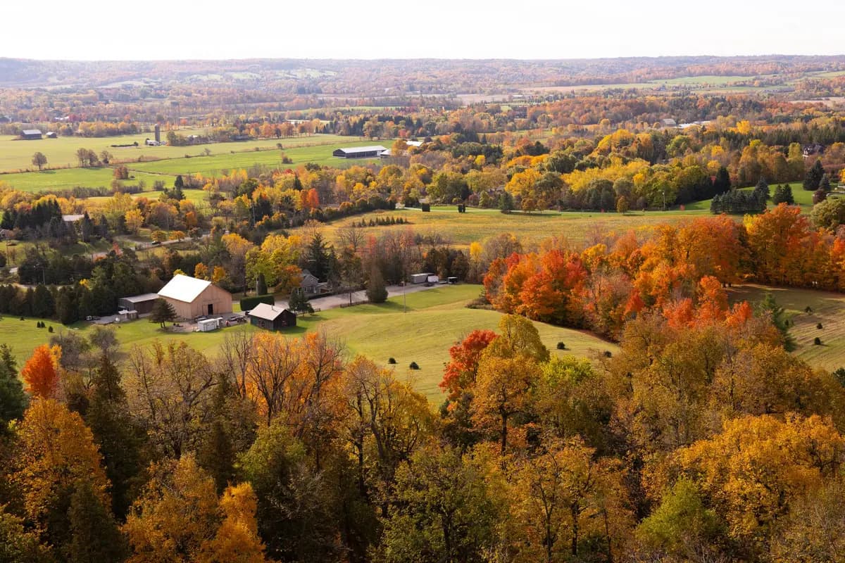 Aerial view of South Burlington, Vermont
