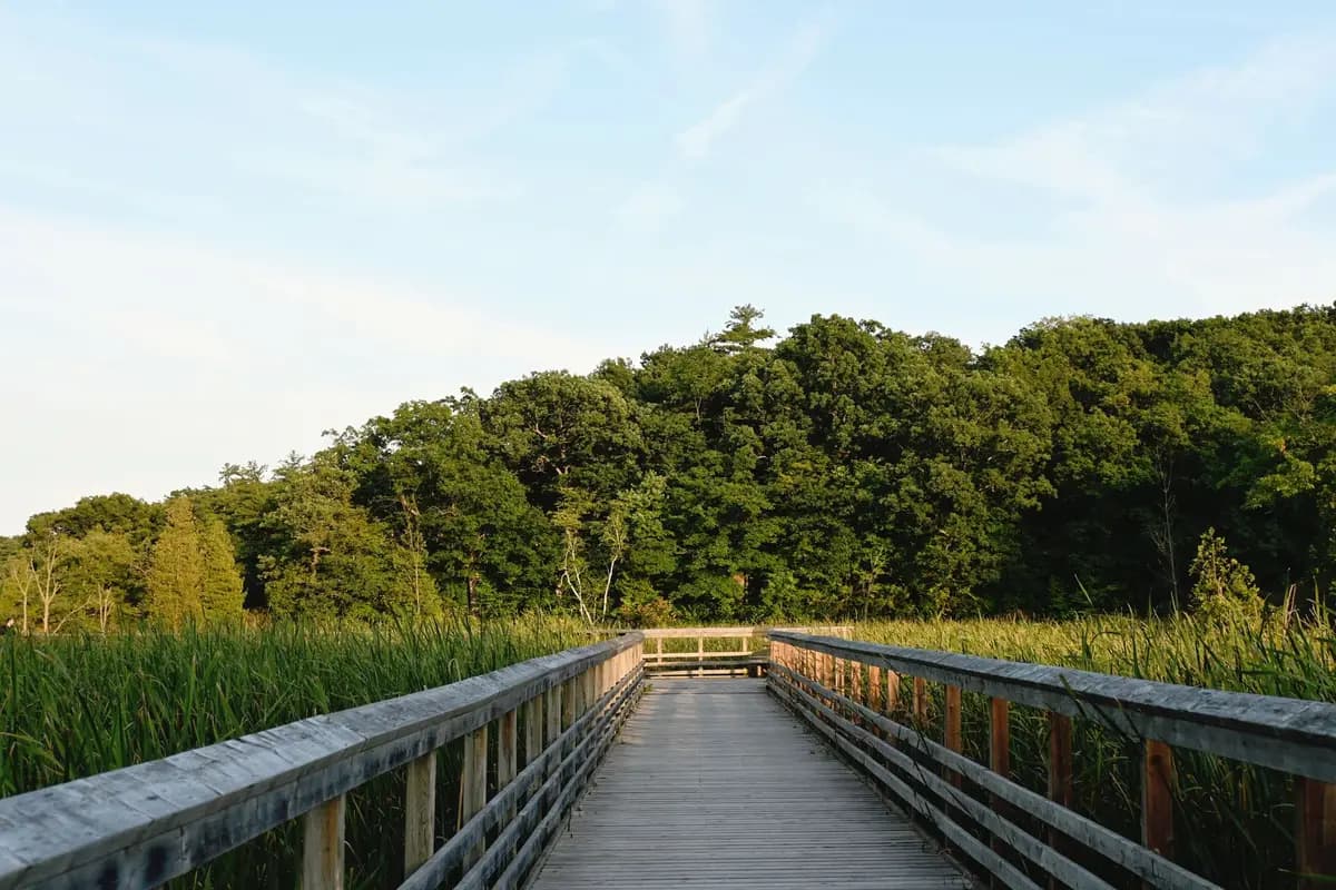 A park in South Burlington, Vermont