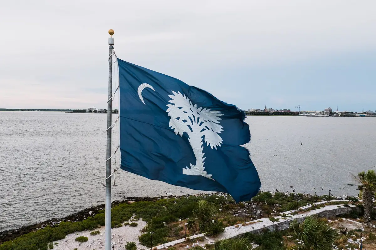 The South Carolina state flag
