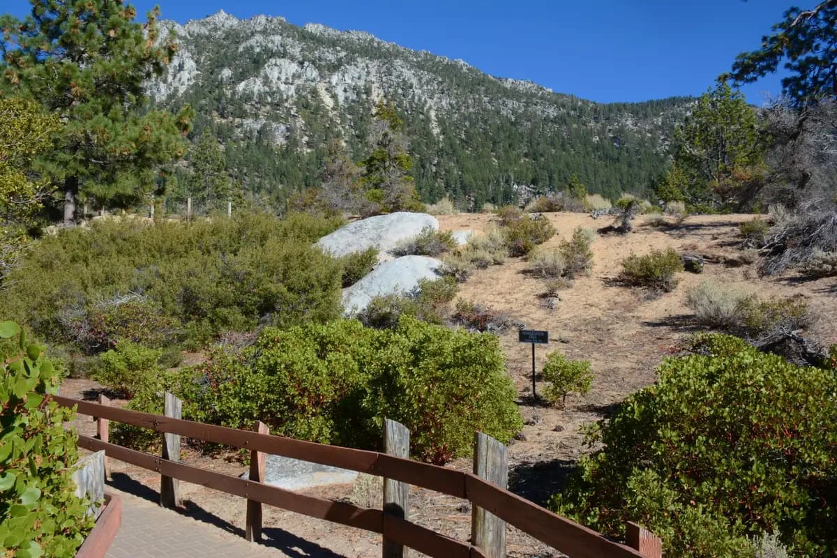 A park in Sparks, Nevada