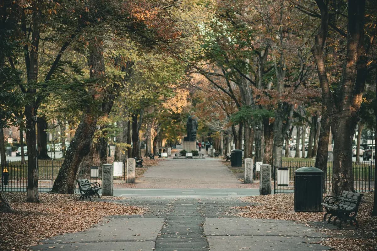 A park in Springfield, Massachusetts