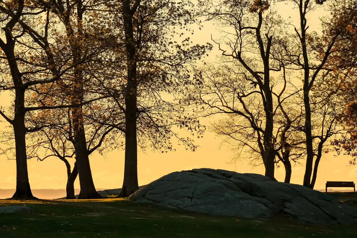 A park in Stamford, Connecticut