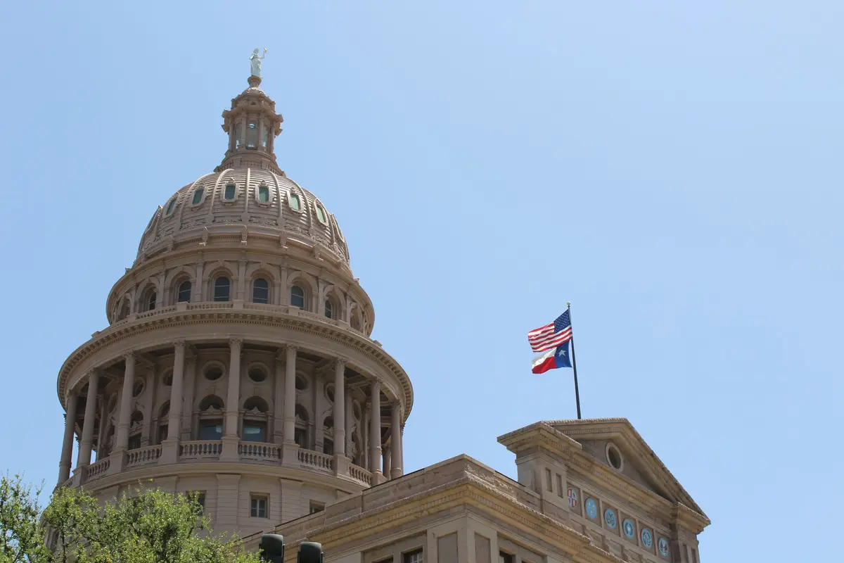 The Texas state flag (the Lone Star Flag)