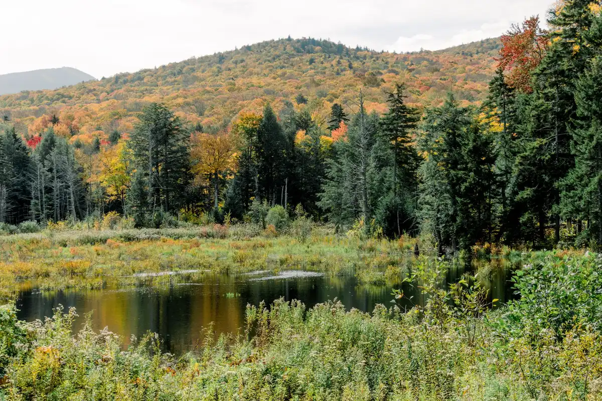 A wide Vermont landscape