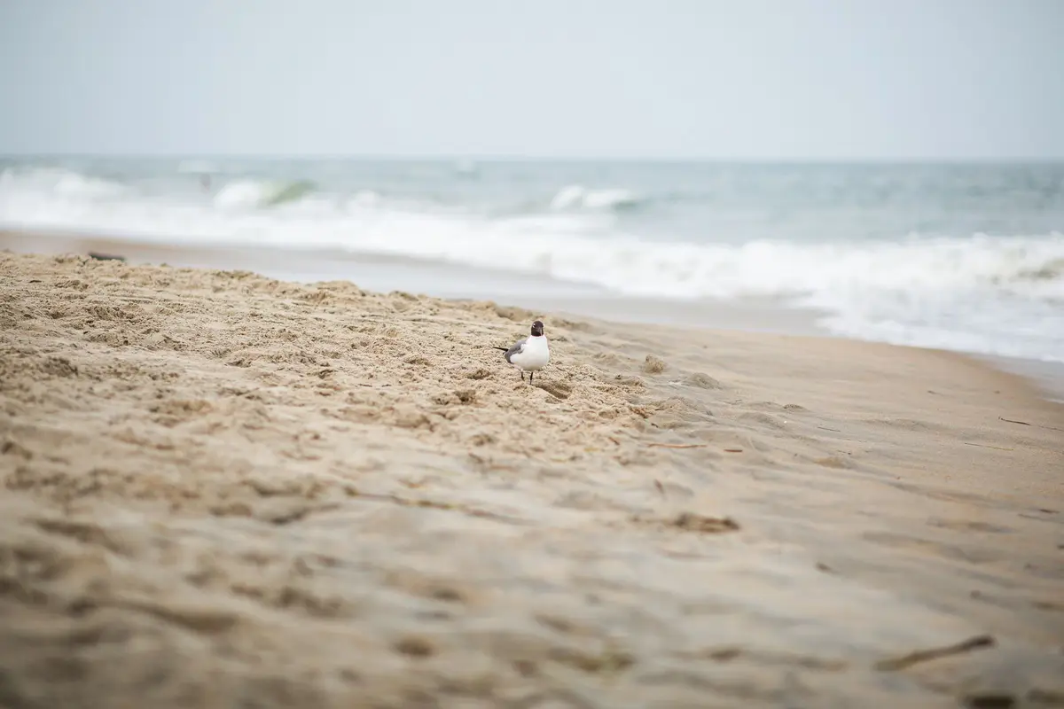 A park in Virginia Beach, Virginia