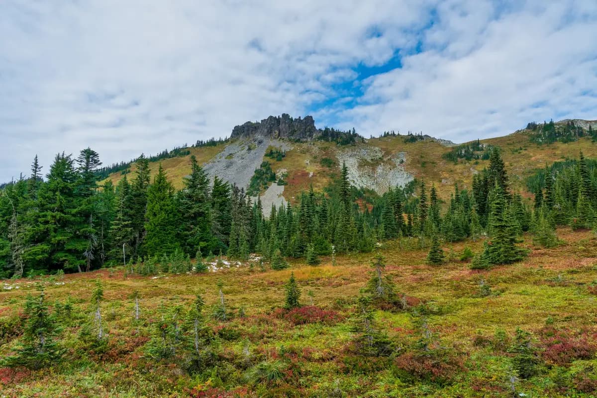 A wide Washington landscape